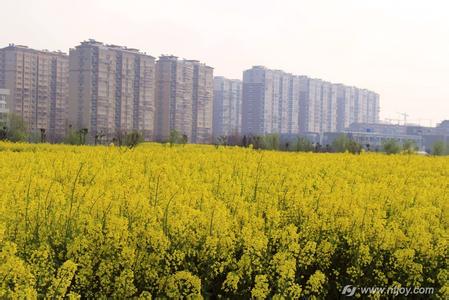 港闸天气预报10天查询
