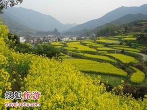 王益天气预报10天查询