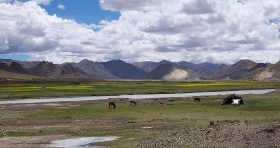 廊坊文安天气预报_文安天气预报一周7天10天15天廊坊文安天气预报,文安天气预报一周7天10天15天