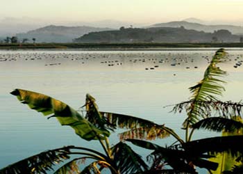 柘荣天气预报15天查询