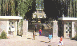 武威民勤沙生植物园天气 武威民勤沙生植物园天气