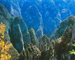 陇南漳县贵清山天气 陇南漳县贵清山天气