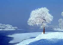 吉林雾凇岛天气