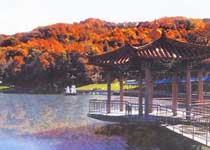 柳河三仙夹国家森林公园天气 柳河三仙夹国家森林公园天气