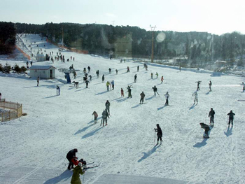 沈阳东北亚滑雪场天气 沈阳东北亚滑雪场天气