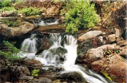 汤旺河国家级森林公园天气 汤旺河国家级森林公园天气