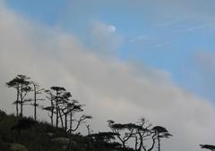 绍兴三山天气 绍兴三山天气