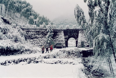 衢州仙霞森林公园天气 衢州仙霞森林公园天气