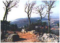 苏州吴县石壁天气 苏州吴县石壁天气