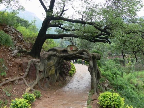 济南三王峪天气 济南三王峪天气