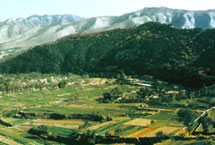 淄博博山风景名胜区天气 淄博博山风景名胜区天气