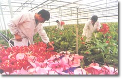 濮阳世锦园天气 濮阳世锦园天气