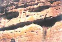 鹰潭古崖墓天气 鹰潭古崖墓天气