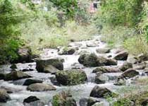 南宁石门森林公园天气 南宁石门森林公园天气