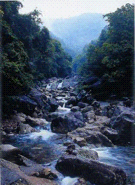 防城港上思魔石谷天气 防城港上思魔石谷天气