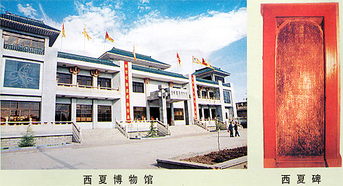 西夏博物馆天气 西夏博物馆天气