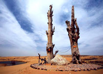 西夏黄沙古渡生态旅游区天气 西夏黄沙古渡生态旅游区天气