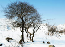 大武口北武当地质公园天气 大武口北武当地质公园天气