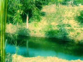 惠阳金桔自然保护区天气 惠阳金桔自然保护区天气