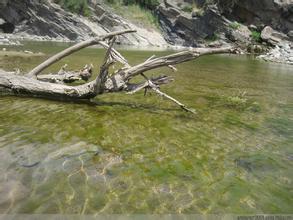 平罗大水沟天气 平罗大水沟天气